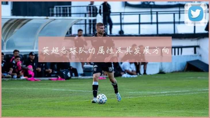英超各球队的属性及其发展方向