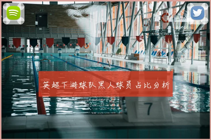 英超下游球队黑人球员占比分析