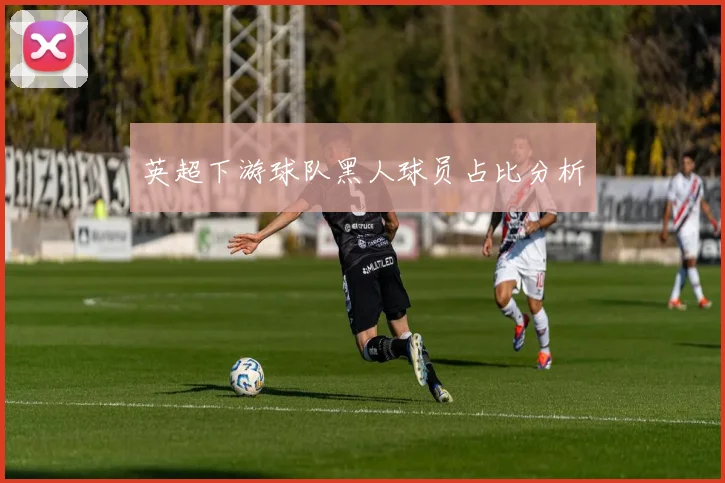 英超下游球队黑人球员占比分析
