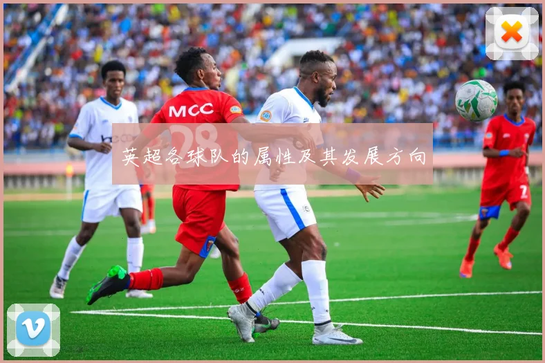 英超各球队的属性及其发展方向